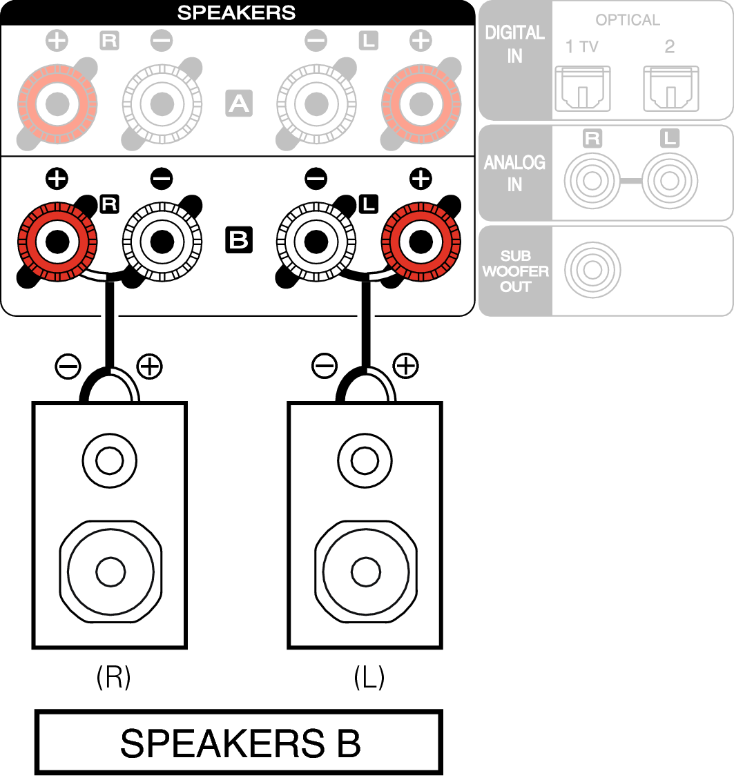 Conne SP B MCR412